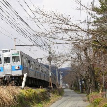 南桜通り