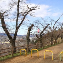 羊山公園見晴しの丘