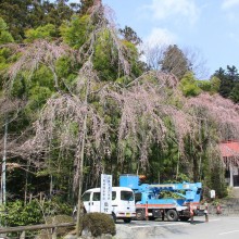 寶登山神社