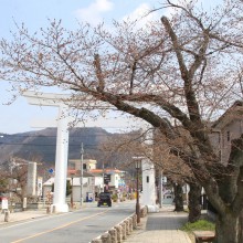 宝登山神社参道