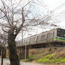 南桜通り