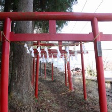 弟富士カタクリ園