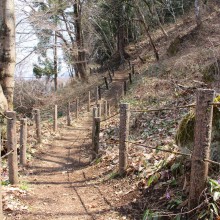 弟富士カタクリ園