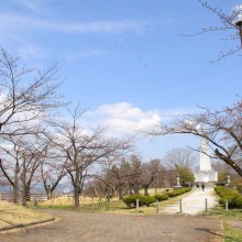 羊山公園見晴しの丘