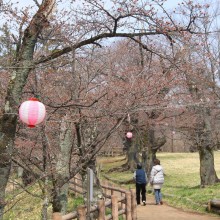 羊山公園見晴しの丘