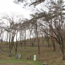 野土山