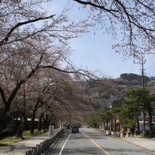 宝登山参道