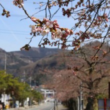 宝登山参道