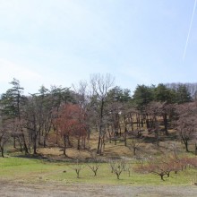 野土山