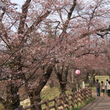 羊山公園見晴しの丘