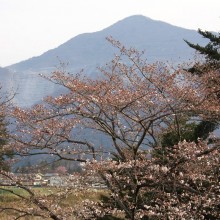 羊山公園見晴しの丘