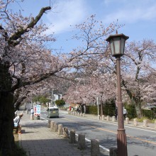 宝登山参道