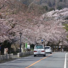 宝登山参道