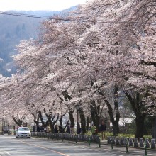 宝登山参道