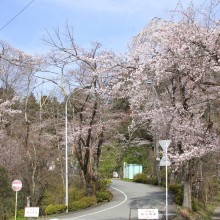 寶登山神社