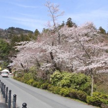 寶登山神社