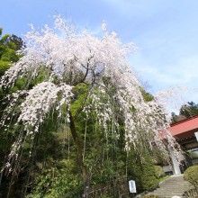 寶登山神社