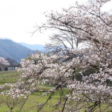 野土山