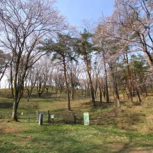 野土山