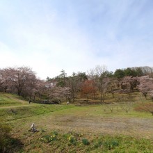 野土山