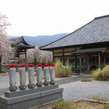 道光寺桜