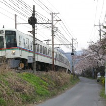 南桜通り