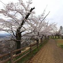 羊山公園見晴しの丘