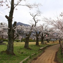 羊山公園見晴しの丘