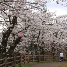 羊山公園見晴しの丘