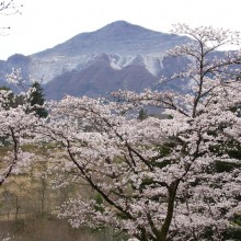 羊山公園見晴しの丘