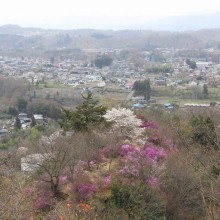 瑞岩寺・岩ツツジ