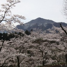 羊山公園見晴しの丘