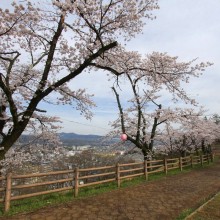 羊山公園見晴しの丘