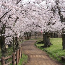 羊山公園見晴しの丘