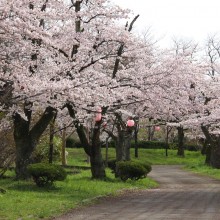 羊山公園見晴しの丘