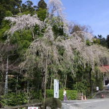 寶登山神社