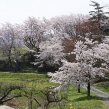 野土山