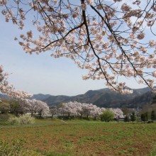 野土山