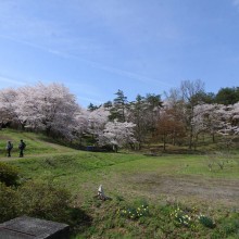 野土山