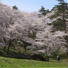 野土山