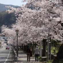 宝登山参道