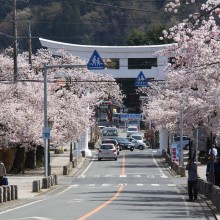 宝登山参道