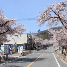 宝登山参道