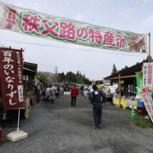 芝桜の丘