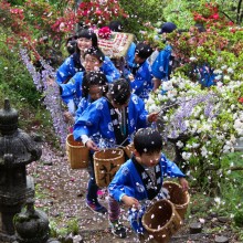 塚越の花まつり