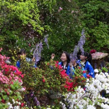 塚越の花まつり