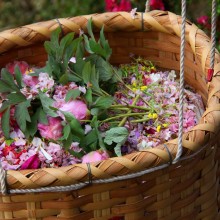 塚越の花まつり