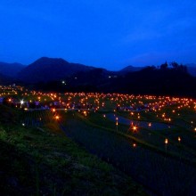 寺坂棚田ホタルかがり火まつり