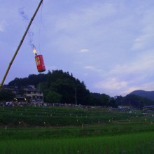 寺坂棚田ホタルかがり火まつり