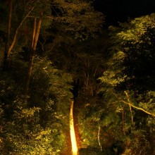 秩父華厳の滝ヒーリングナイト